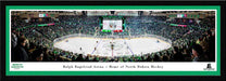 North Dakota Fighting Hawks Hockey Panoramic Picture - Ralph Engelstad Arena Fan Cave Decor  Select Frame