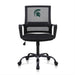 Michigan State Task Chair