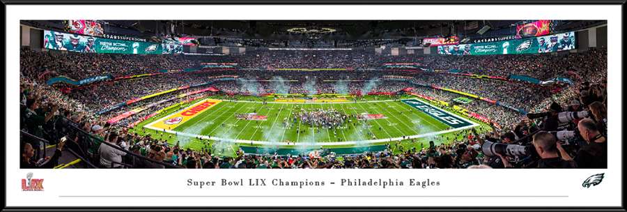 Philadelphia Eagles Super Bowl LIX Champions Panoramic Photo - Standard Frame