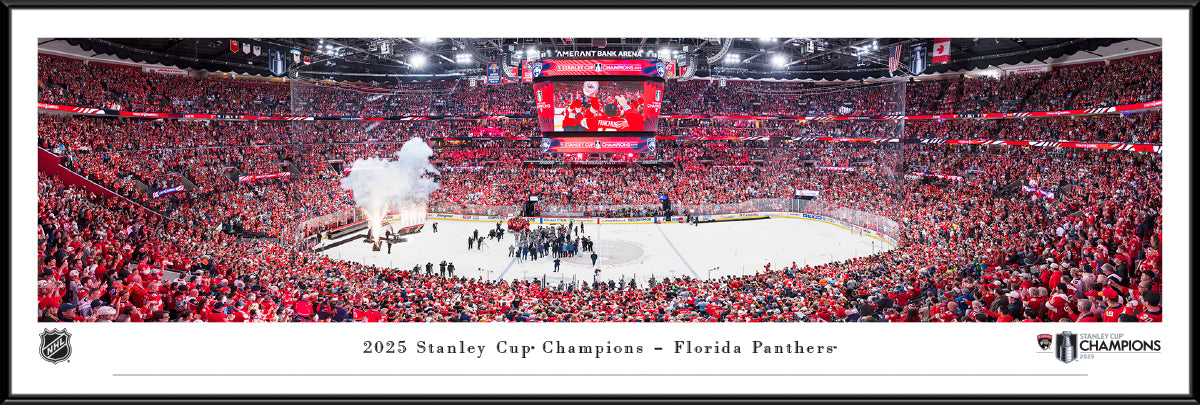 Florida Panthers 2025 NHL Stanley Cup Champions Panoramic Picture Standard Frame - 40 1/4" wide x 13 3/4" tall