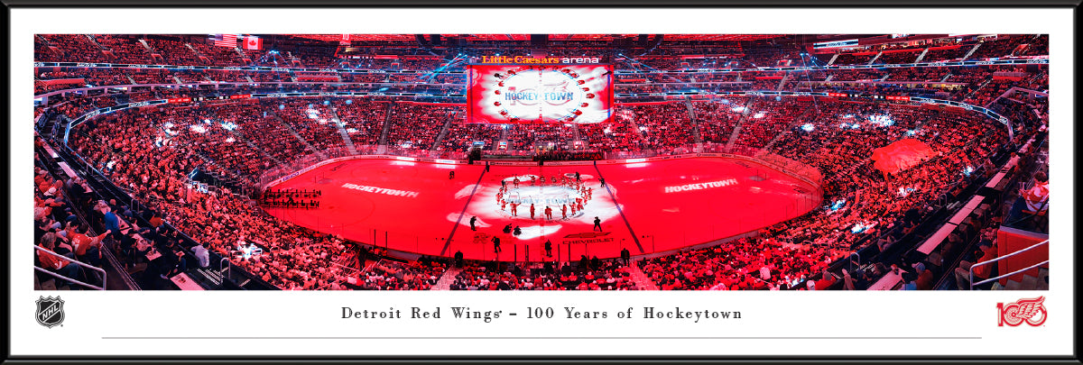 Detroit Red Wings Centennial Season Stadium Panoramic Picture Standard Frame - 40 1/4" X 13 3/4"