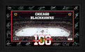 Chicago Blackhawks 2025 Signature Rink