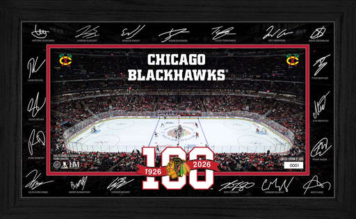 Chicago Blackhawks 2025 Signature Rink