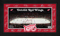 Detroit Red Wings 2025 Signature Rink