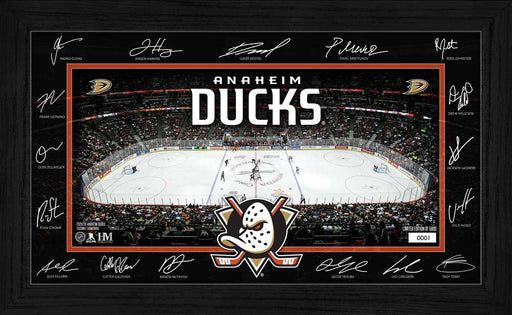 Anaheim Ducks 2025 Signature Rink