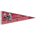 Indiana Hoosiers 2025 BCS Football National Champions Premium Pennant - 2 Pack