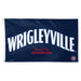 Chicago Cubs City Connect Deluxe 3X5 Flag