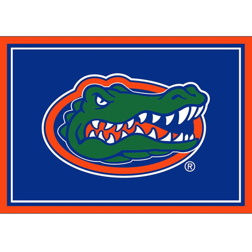 Florida Gators 3x4 Area Rug