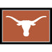 Texas Longhorns 3x4 Area Rug
