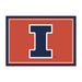 Illinois Fighting Illini 4x6 Spirit Rug