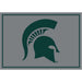 Michigan State Spartans 4x6 Spirit Rug