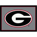 Georgia Bulldogs 4x6 Spirit Rug