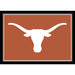 Texas Longhorns 4x6 Spirit Rug