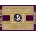 Florida State Seminoles 4x6 Courtside Rug
