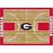 Georgia Bulldogs 4x6 Courtside Rug