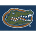 Florida Gators 6x8 Spirit Rug