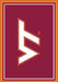Virginia Tech Hokies 6x8 Spirit Rug