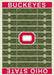 Ohio State Buckeyes 8x11 Homefield Rug