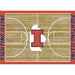 Illinois Fighting Illini 8x11 Courtside Rug