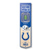 Indianapolis Colts 3D Stadium Banner 8x32