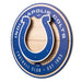 Indianapolis Colts 3DX CIRCLE BACKER WALL ART