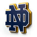 Notre Dame Fighting Irish 3DX DIE CUT WALL ART