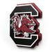 South Carolina Gamecocks 3DX DIE CUT WALL ART